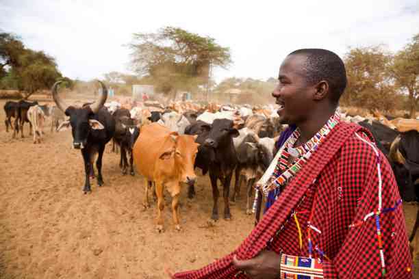 Maasai community embraces cross border trade through Umoja Coin