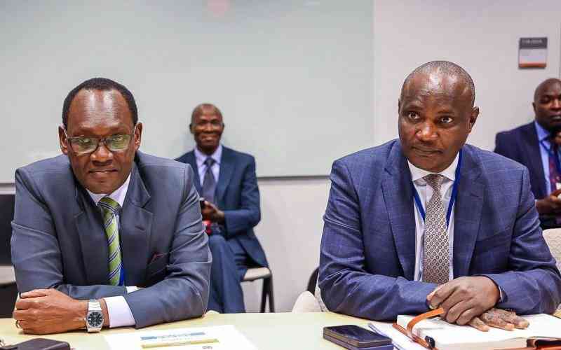 Local financiers to get bigger pie of PPPs in new proposal
