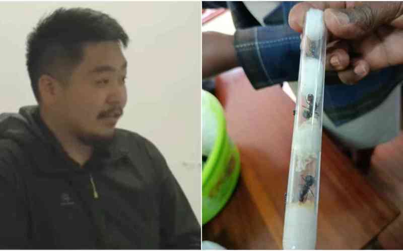 Stop rogue tourists from smuggling our insects and other animals