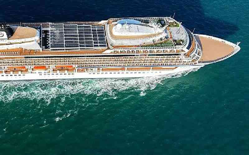 What is hantavirus, the disease that has killed 3 cruise ship passengers?