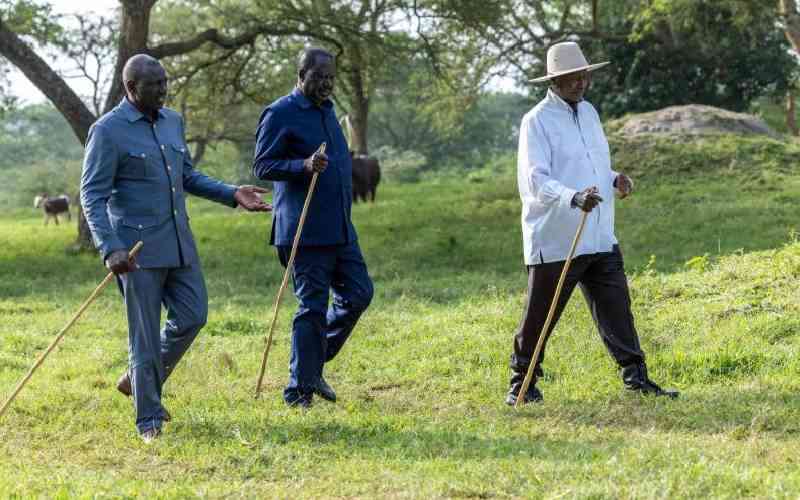 Raila-Ruto relations begin to disturb Mt Kenya