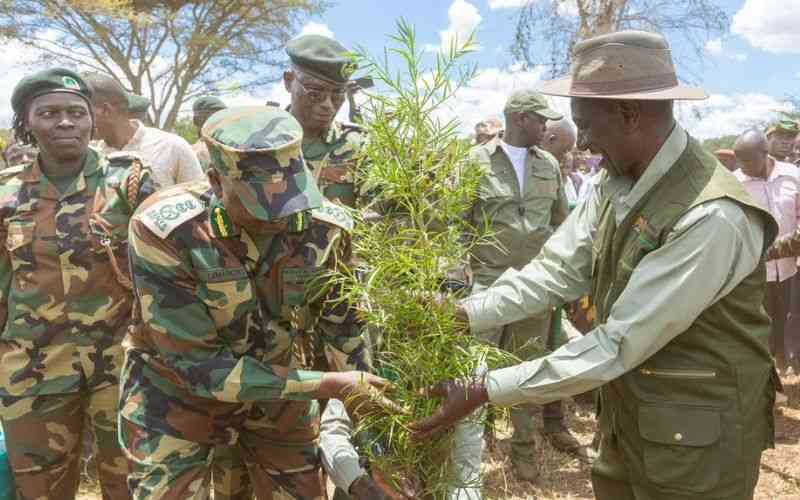 Kenyans rally to plant trees in boost in the fight against climate change