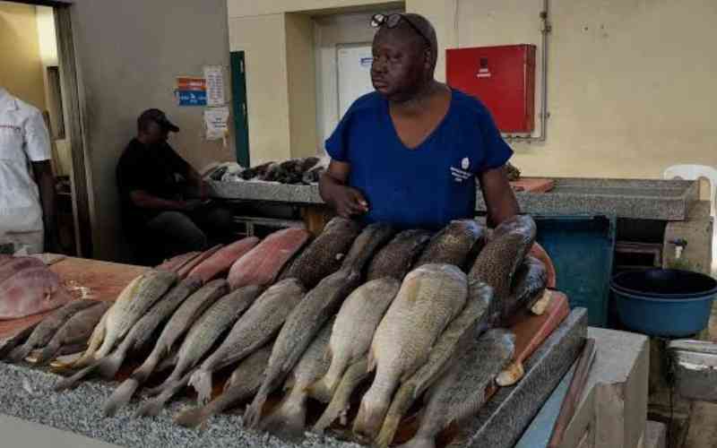 Sh345m modern Homa Bay market puts a smile on faces of fishmongers'