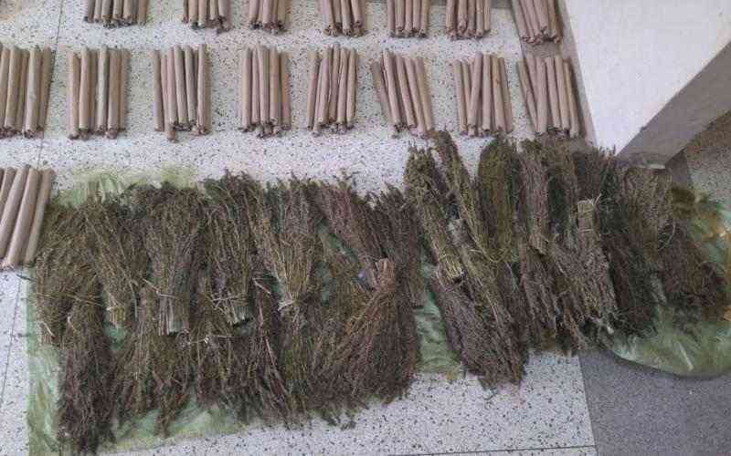 Trio jailed for 63 years, Sh150m fine for smuggling 572 kg of cannabis