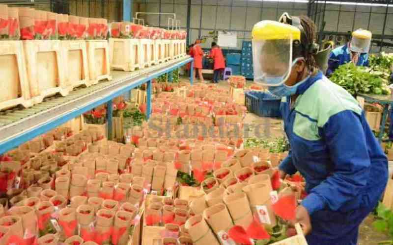 Horticulture farmers cry foul over delayed Sh12 billion VAT refunds