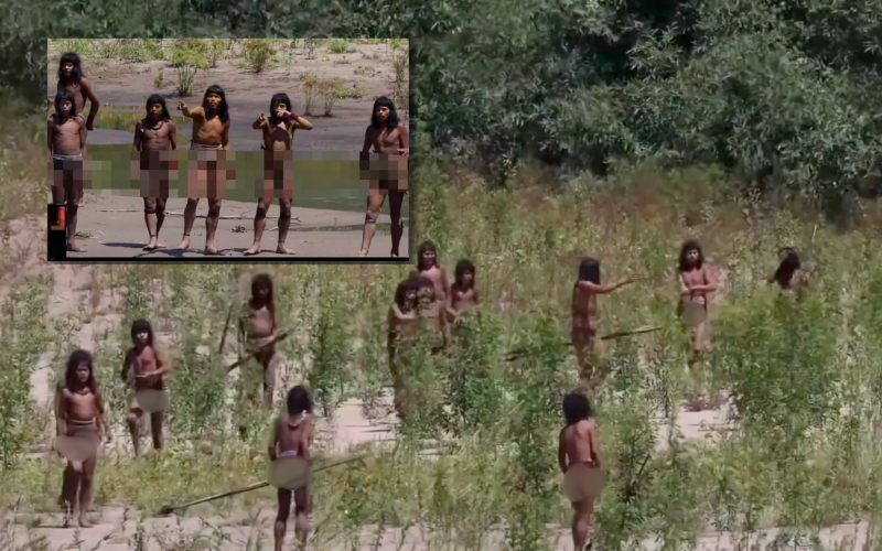 Mashco Piro: Never-before-seen footage shows rare Amazon tribe up close