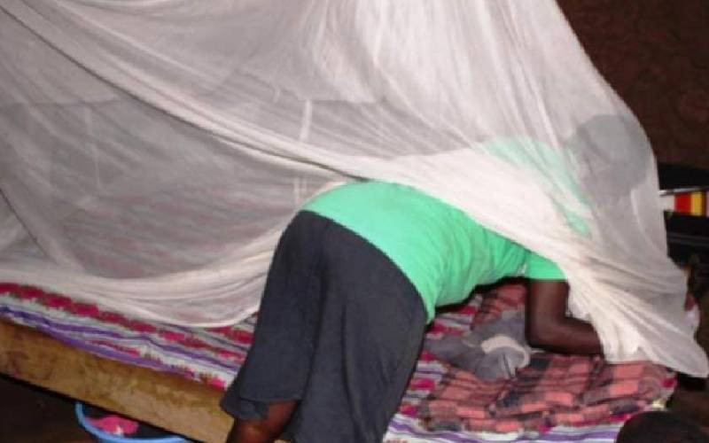 Tanzanian firm supplies Kenya with mosquito nets after Kemsa saga