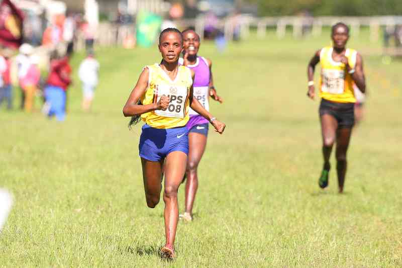 Olympians, world stars to battle for honors in national cross country