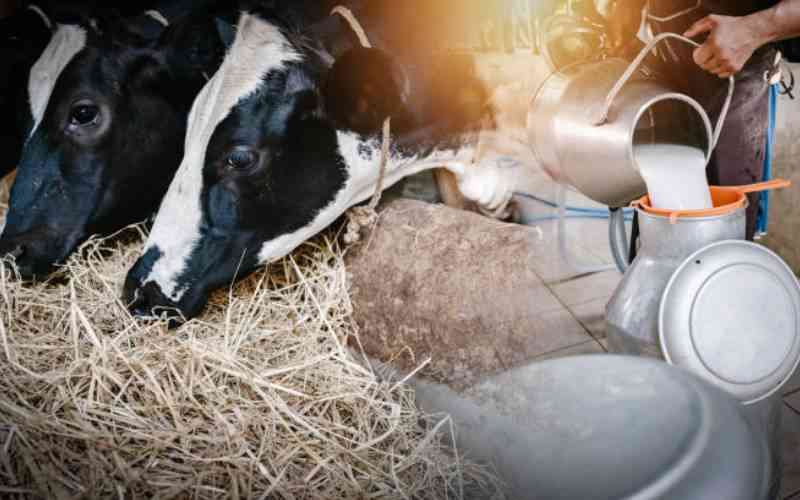 Dairy farmers urged to boost milk production as demand rises