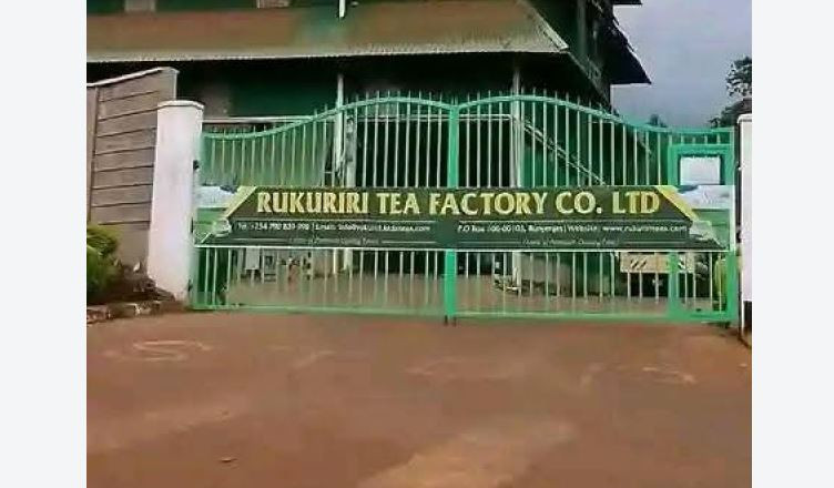 Task force proposes radical reforms to protect tea farmers