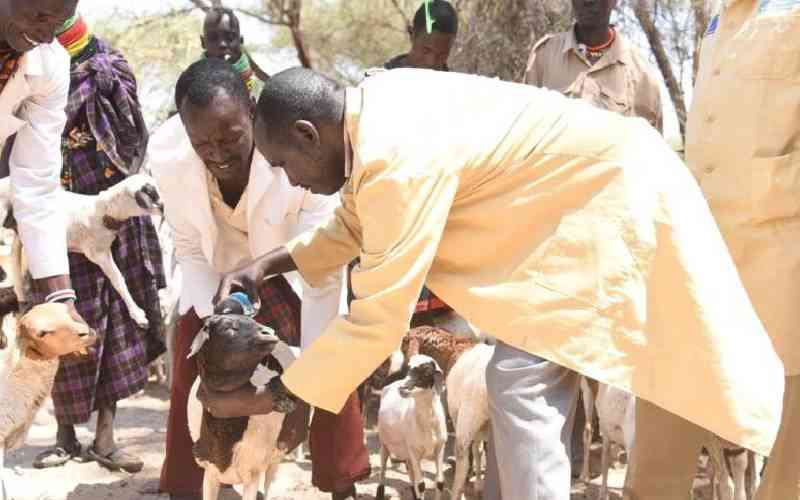 Livestock diseases surge in drought-hit counties