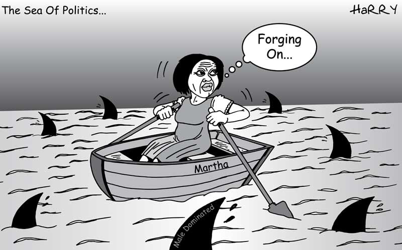 Navigating the Sea of Politics