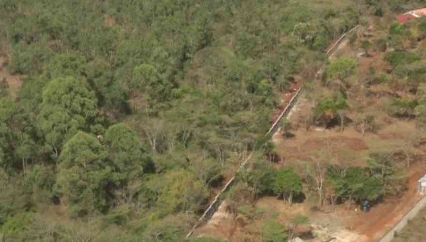 Experts warn of growing water crisis as forests are cut down for development