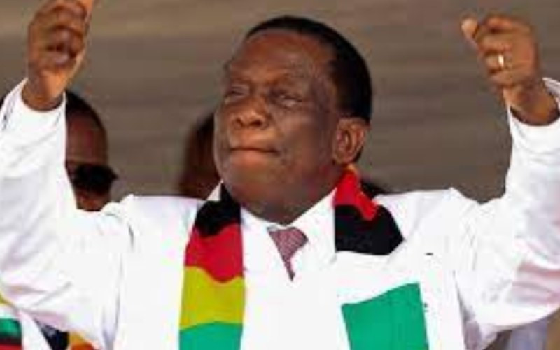 Zimbabwe President faces allegations of nepotism after appointing family in cabinet