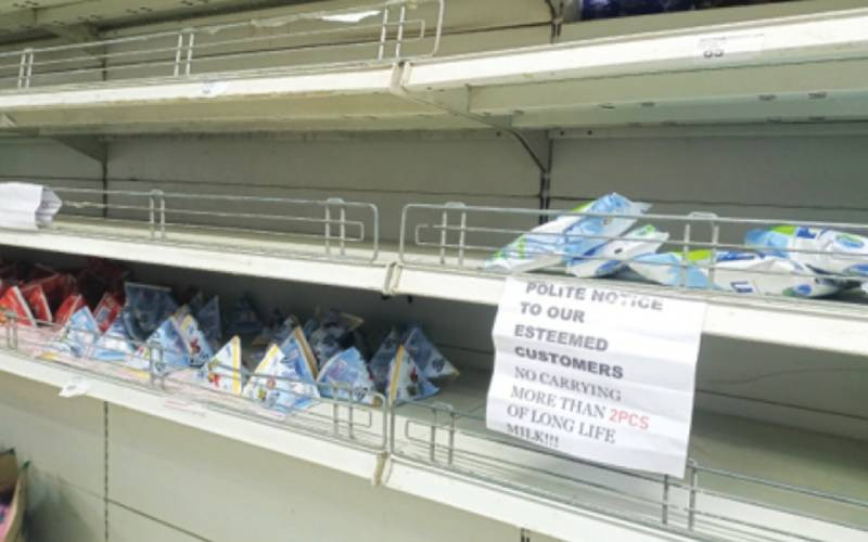 Buffalo plan: Why Ruto's milk crisis solution fell flat