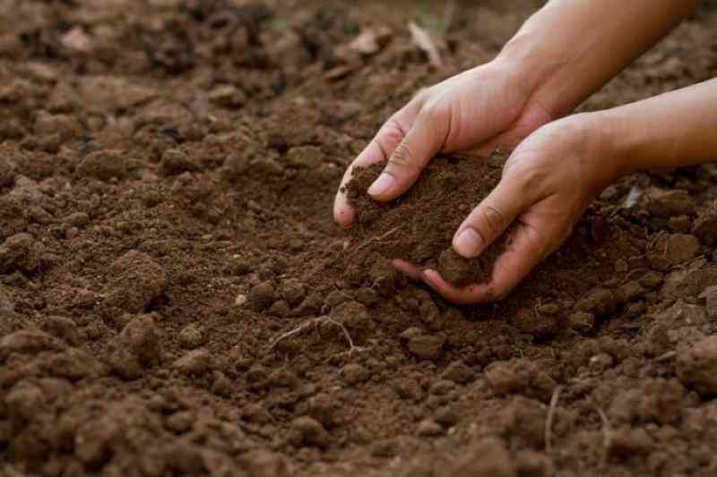 Rapid soil tests carried out in Bungoma,  Kakamega