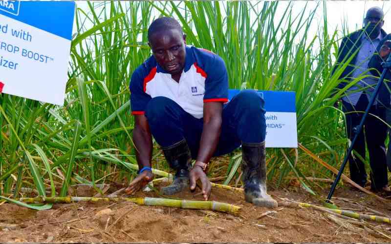 Sugarcane farmers welcome new pricing by millers