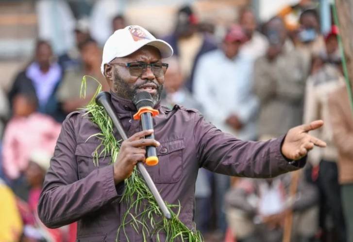 Kalonzo urges swift probe into helicopter crash that killed MP Johana Ng'eno