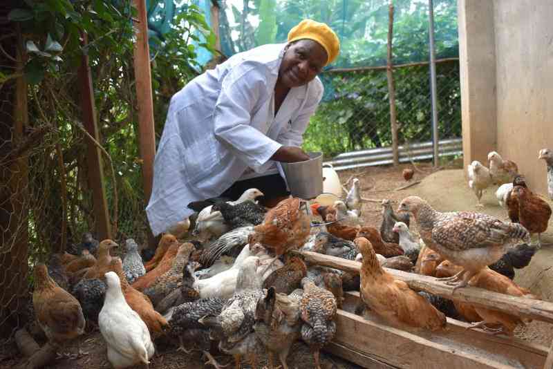 Key priorities for successful poultry farming this year