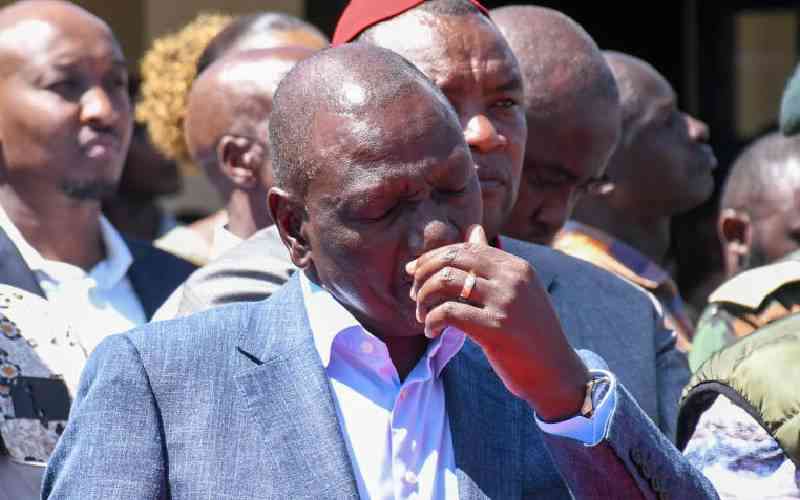 Over Sh10 Billion allocated for last mile electricity in Mt. Kenya Region