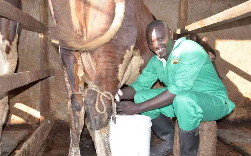 Why 2024 was a good year for dairy and cottonseed farmers