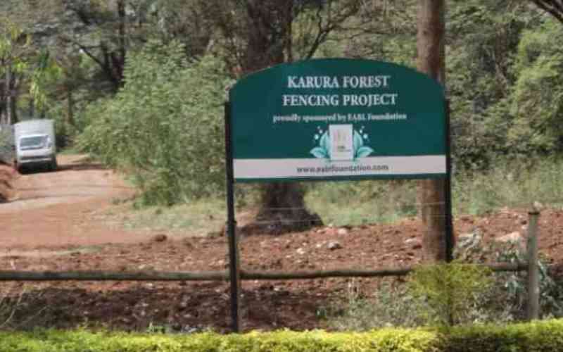 Gov't defends Karura Forest works amid uproar over alleged clearing