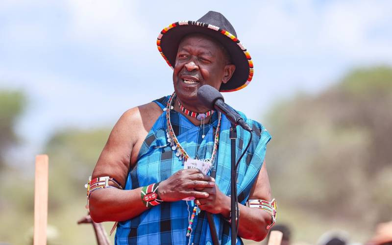 Mudavadi: Greed-driven interests threaten Kenya's conservation efforts