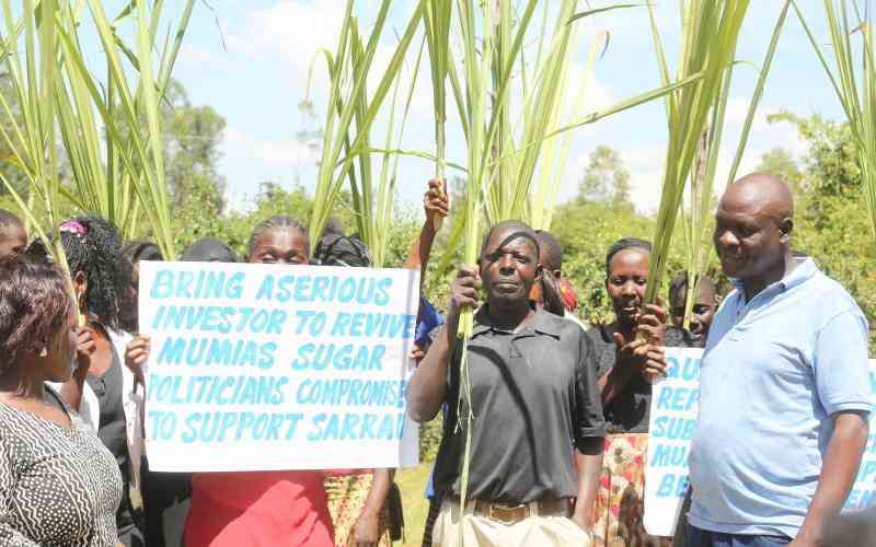 Western leaders oppose Ruto's plan to sell Nzoia, Mumias sugar factories