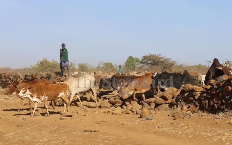 Authorities rescue, return abducted herders to Kenya