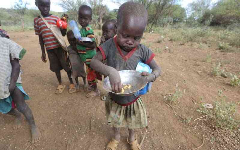 Kenya among countries facing acute food insecurity  report