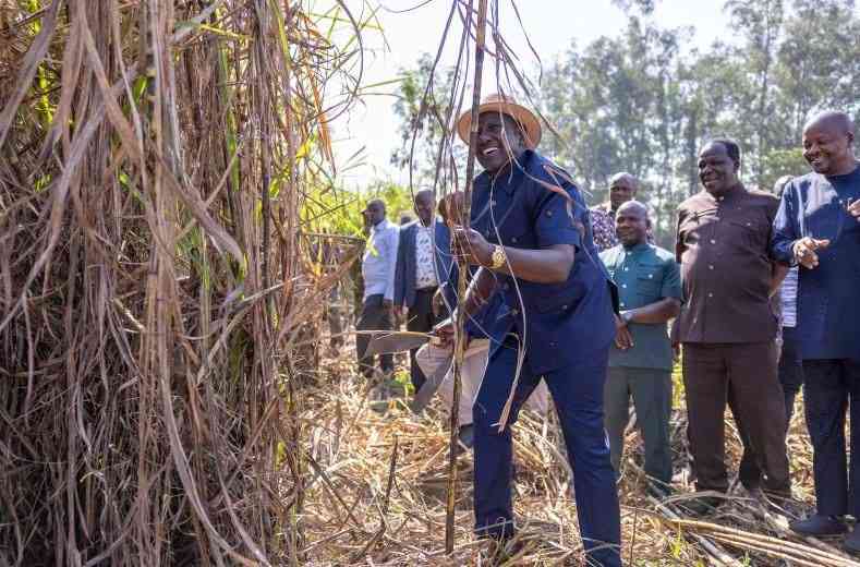 Why Busia sugarcane farmers are angry