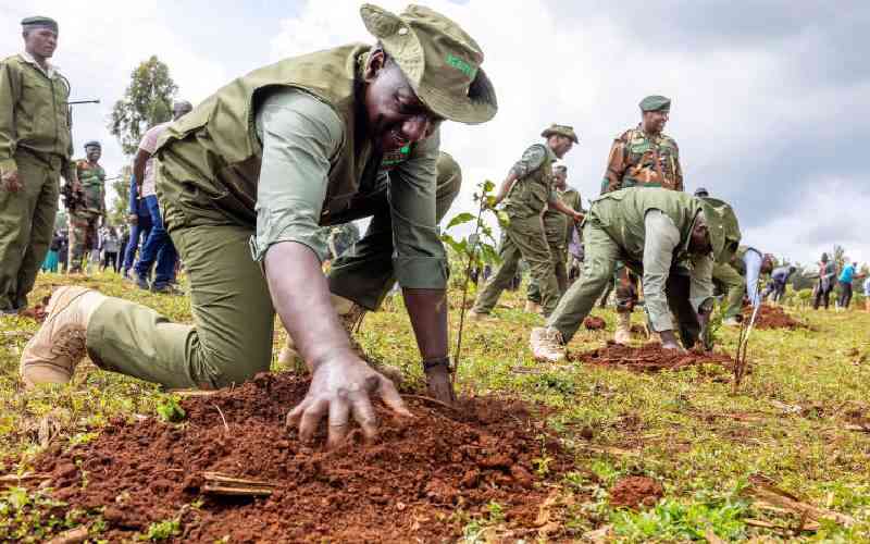 Ruto, AU noble climate plan bo...