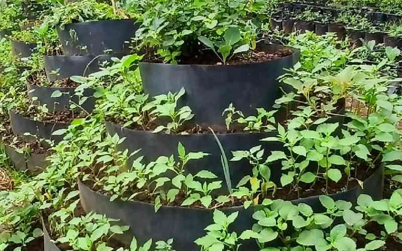 Western farmers embrace new technologies to boost food production