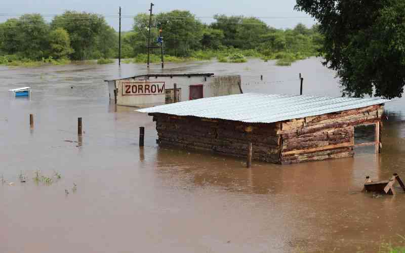 South Africa flood toll rises, large parts of Mozambique submerged