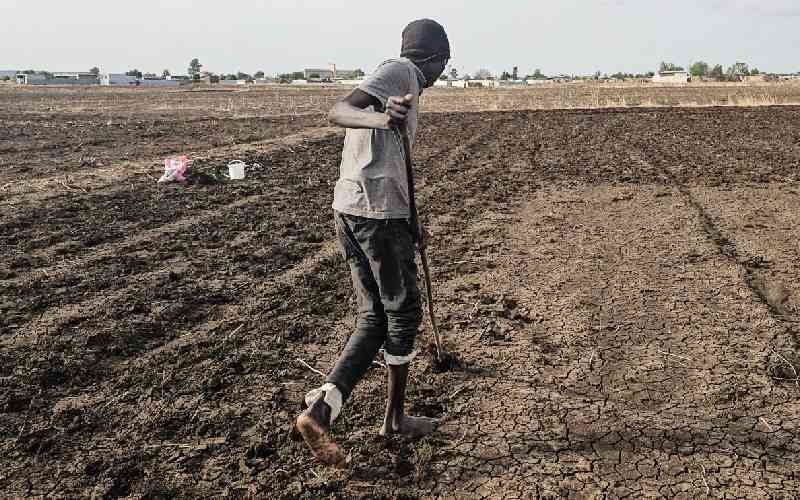 Sudan farms lie barren as El Nino leaves Nile banks dry