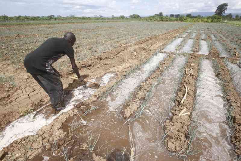 How to save farmers from rain dependency