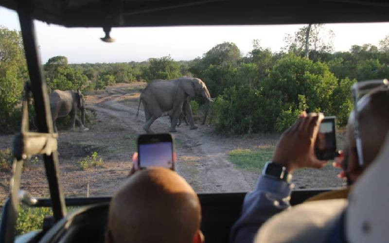 Tour guides should behave better for wild animals' sake