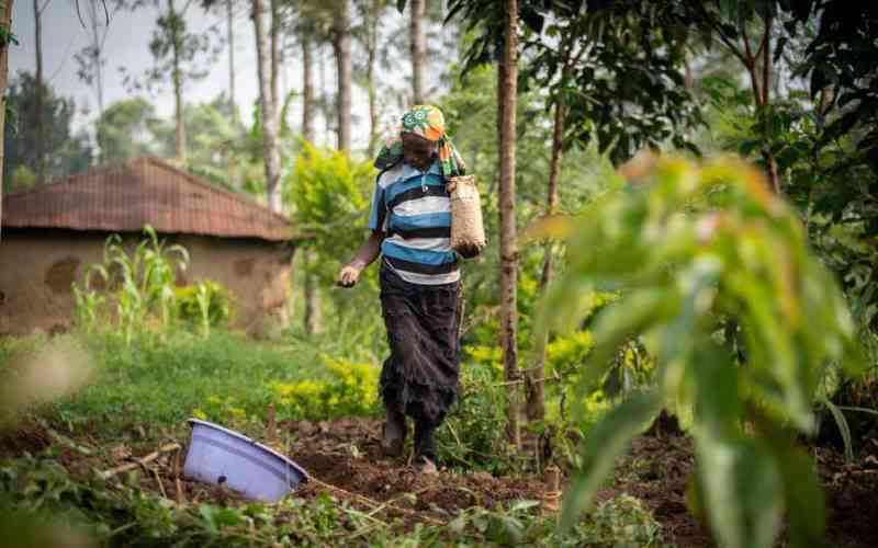 Farmers urged to adopt climate smart seeds to combat climate change and boost yields