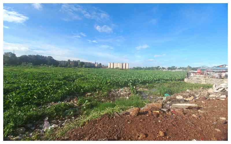 How unchecked growth is killing Nairobi's natural lifelines