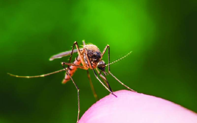 Millions of Kenyans face malaria threat as climate change pushes disease into highlands