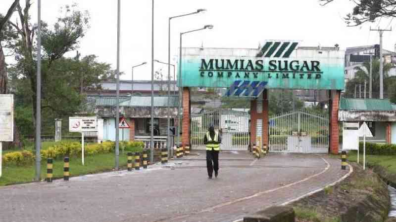 Mumias factory plans to layoff over 500 cane loaders