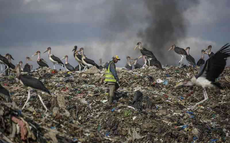 There's urgent need to stop air pollution in Nairobi
