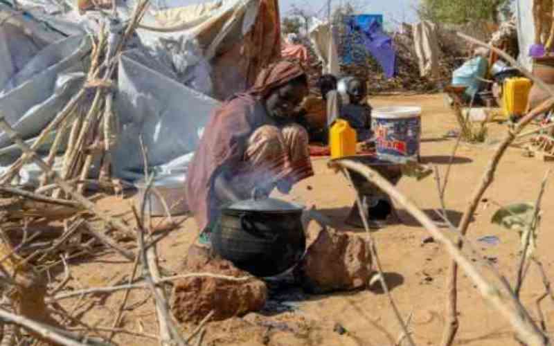 Sudan war drives world's largest displacement as coalition demands access