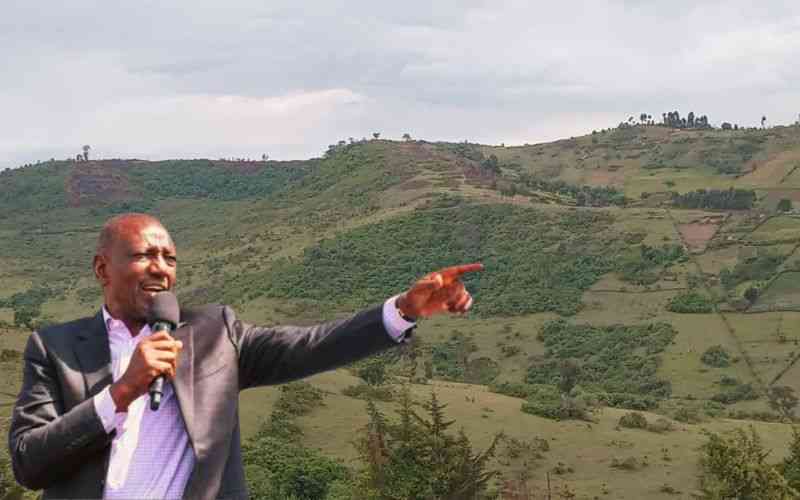 Ruto's Sh2.6 billion token causes a storm in the Mau Forest
