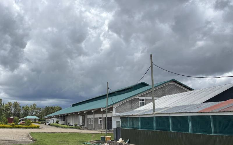 From Karen to Ol Joro Orok: The making of a bold entrepreneur