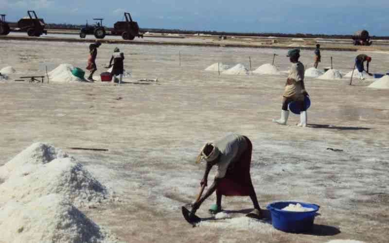 Tana residents face eviction as a salt firm claim their 300-acre land