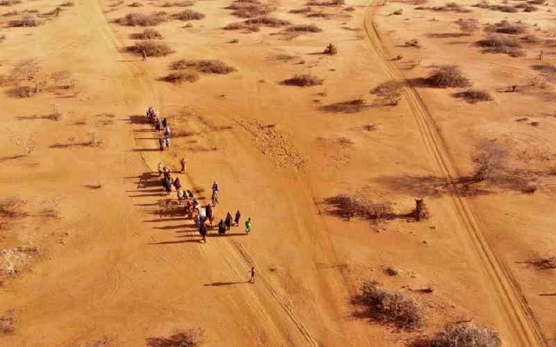 Drought led to 71,000 'excess deaths' in Somalia, report shows