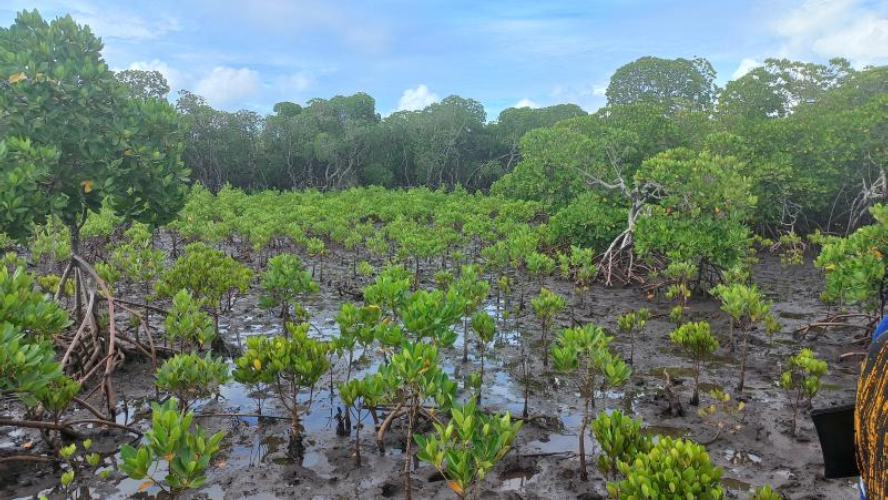 Partnership with communities can make climate action count