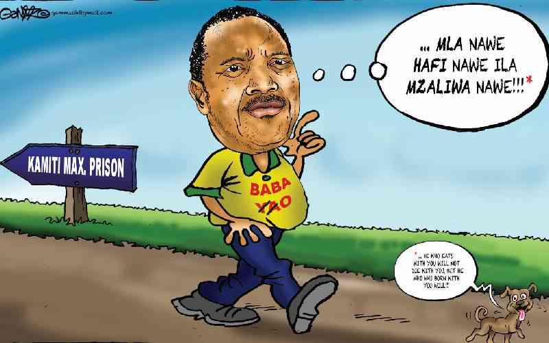 Return of Baba Yao...