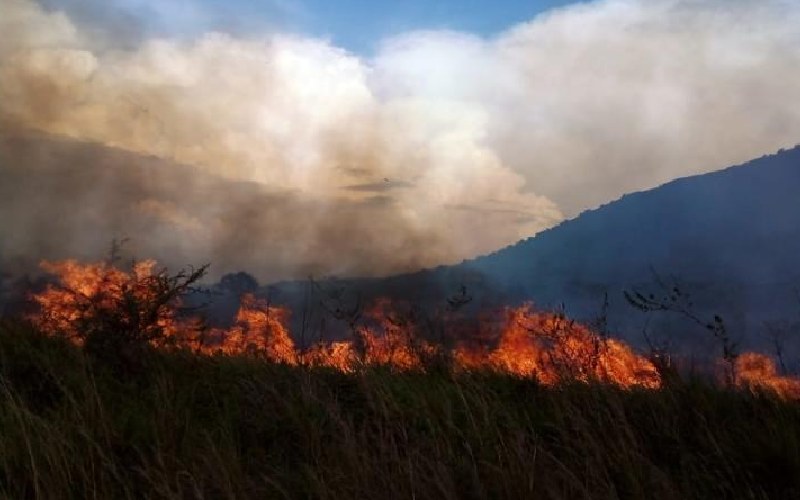 Fear over animals' safety after Ruma National Park fire